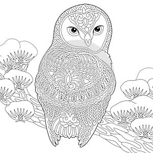 Zentangle owl coloring page