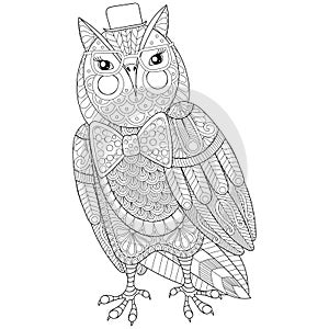 Zentangle Owl painting for adult anti stress coloring page