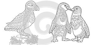 Zentangle puffin and emperor penguins