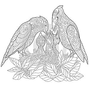 Zentangle spring birds coloring page