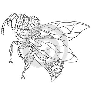 Zentangle stylized bee insect