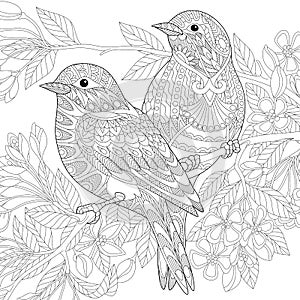 Zentangle stylized birds