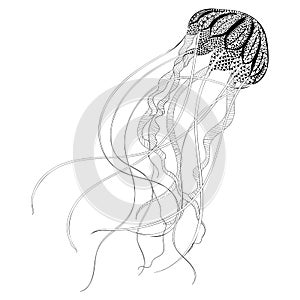 Zentangle stylized black Jellyfish. Hand Drawn