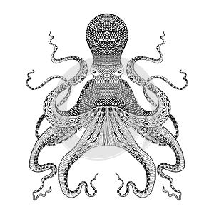 Zentangle stylized black Octopus. Hand Drawn illustration