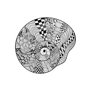 Zentangle stylized black seashell. Hand Drawn vector illustratio