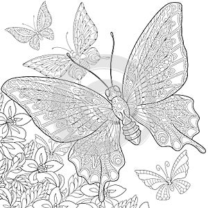 Zentangle stylized butterflies