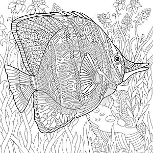 Zentangle stylized butterfly fish