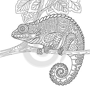 Zentangle stylized chameleon