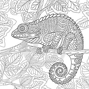 Zentangle stylized chameleon