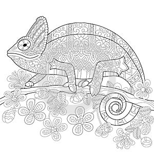 Zentangle stylized chameleon lizard