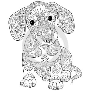 Zentangle stylized dachshund puppy dog