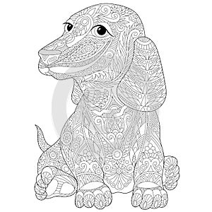 Zentangle stylized dachshund (teckel) photo