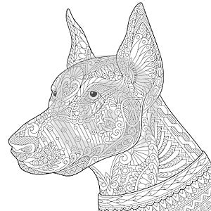 Zentangle stylized doberman pinscher dog