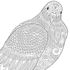 Zentangle stylized dove or pigeon