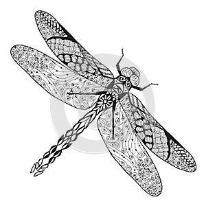 Zentangle stylized dragonfly. Sketch for tattoo or t-shirt.