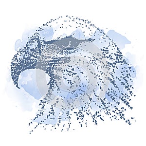 Zentangle stylized Eagle with watercolor drop. Hand Drawn doodle vector illustration