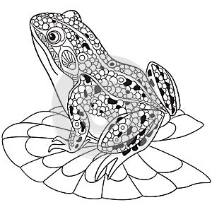 Zentangle stylized frog