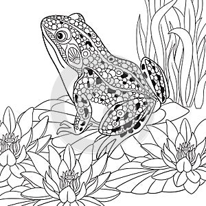 Zentangle stylized frog