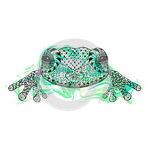 Zentangle stylized frog with abstract colorful grunge background
