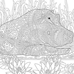 Zentangle stylized hippopotamus (hippo)