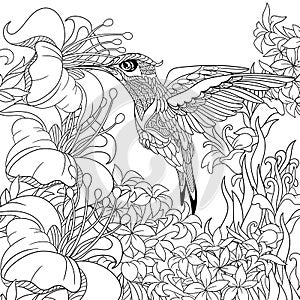 Zentangle stylized hummingbird