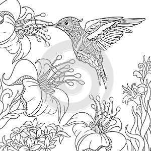 Zentangle stylized hummingbird