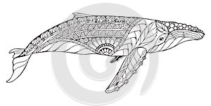 Zentangle stylized humpback whale. Vector, illustration, freehand pencil, pattern. Zen art. Black and white illustration on white photo