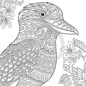 Zentangle stylized kookaburra bird