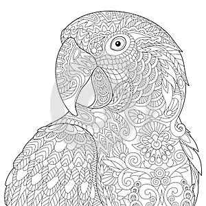 Zentangle stylized macaw photo