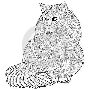 Zentangle stylized maine coon cat