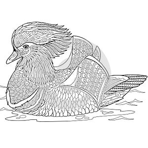 Zentangle stylized mandarin duck