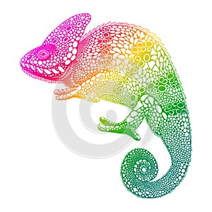 Zentangle stylized multi coloured Chameleon. Hand Drawn Reptile