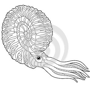 Zentangle stylized nautilus