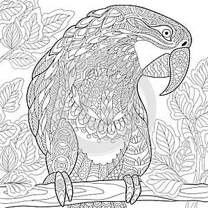 Zentangle stylized parrot - macaw