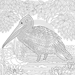 Zentangle stylized pelican bird