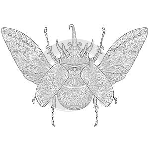Zentangle stylized rhinoceros beetle