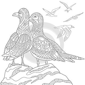 Zentangle stylized seagulls