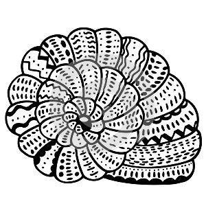 Zentangle stylized shell