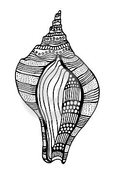 Zentangle stylized shell.