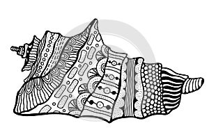 Zentangle stylized shell.