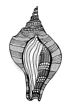 Zentangle stylized shell.
