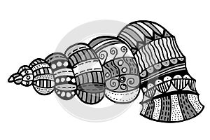 Zentangle stylized shell.