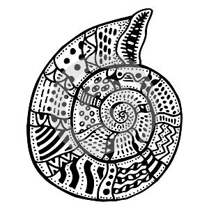 Zentangle stylized shell