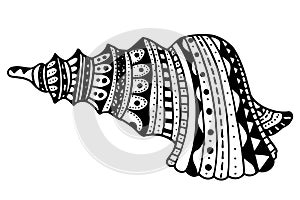 Zentangle stylized shell