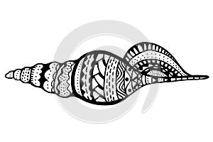 Zentangle stylized shell