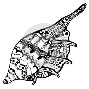 Zentangle stylized shell