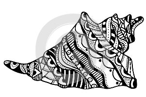 Zentangle stylized shell