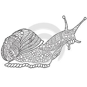 Zentangle stylized snail