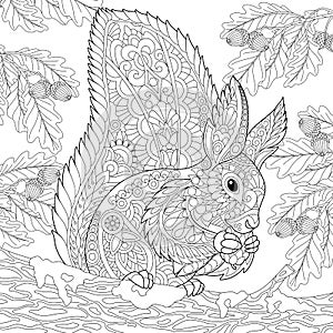 Zentangle stylized squirrel