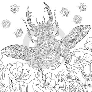 Zentangle stylized stag-beetle (Lucanus cervus)